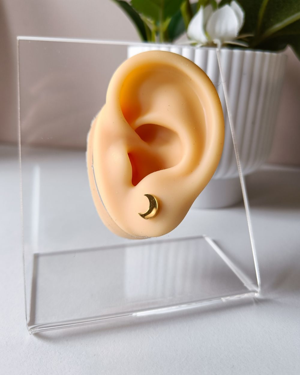 Moon Studs - 18K PVD Plated Stainless Steel