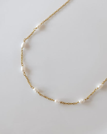 Fiona - 18K PVD Plated Stainless Steel